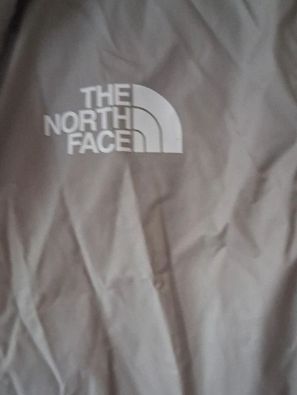 The North Face Light Silver Hooded Windbreaker